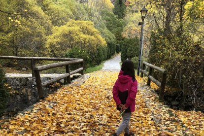 Les fulles cauen, arriba la boira i comença a fer fred.