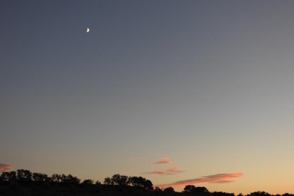 Les fulles cauen, arriba la boira i comença a fer fred.