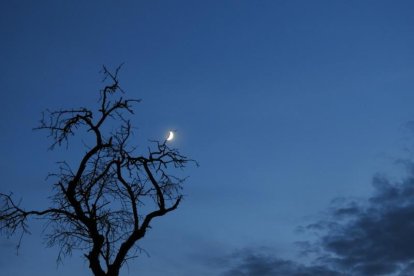 Les fulles cauen, arriba la boira i comença a fer fred.