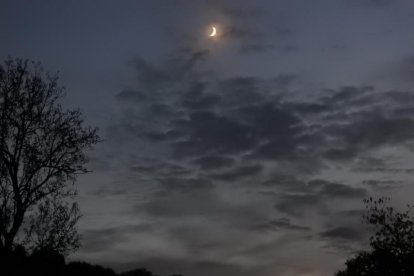 Les fulles cauen, arriba la boira i comença a fer fred.