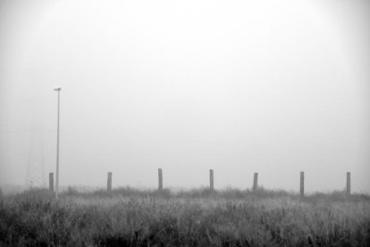 Les fulles cauen, arriba la boira i comença a fer fred.