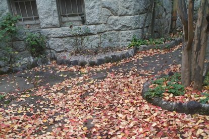 Les fulles cauen, arriba la boira i comença a fer fred.