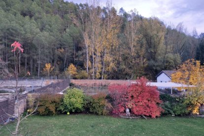Les fulles cauen, arriba la boira i comença a fer fred.