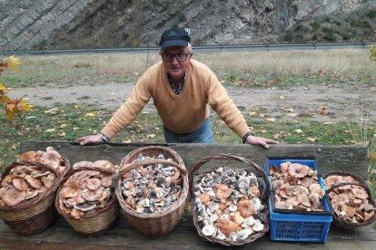 Rovellons, ceps, fredolics,...envia'ns fotos de la teva sortida al bosc.