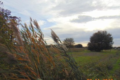 Les fulles cauen, arriba la boira i comença a fer fred.