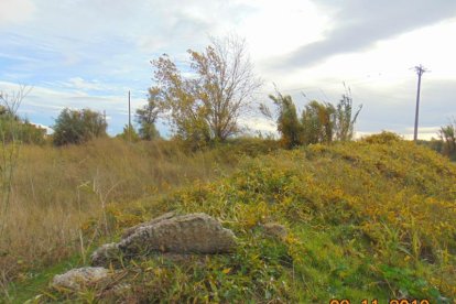 Les fulles cauen, arriba la boira i comença a fer fred.