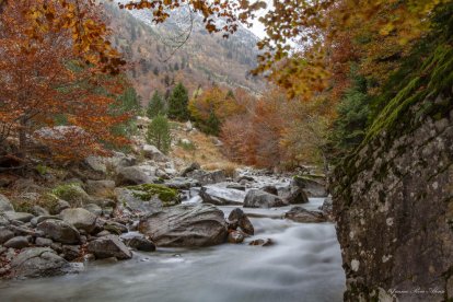 Les fulles cauen, arriba la boira i comença a fer fred.