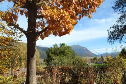 Les fulles cauen, arriba la boira i comença a fer fred.