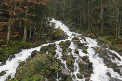 Les fulles cauen, arriba la boira i comença a fer fred.