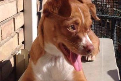 jennifer montull rodriguez