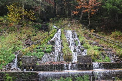 Les fulles cauen, arriba la boira i comença a fer fred.