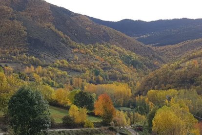 Les fulles cauen, arriba la boira i comença a fer fred.