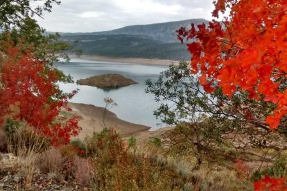 Les fulles cauen, arriba la boira i comença a fer fred.