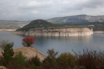 Les fulles cauen, arriba la boira i comença a fer fred.