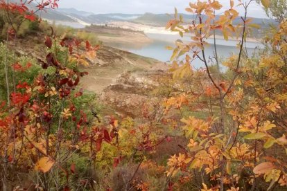 Les fulles cauen, arriba la boira i comença a fer fred.