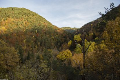 Les fulles cauen, arriba la boira i comença a fer fred.