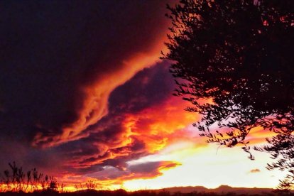 Les fulles cauen, arriba la boira i comença a fer fred.