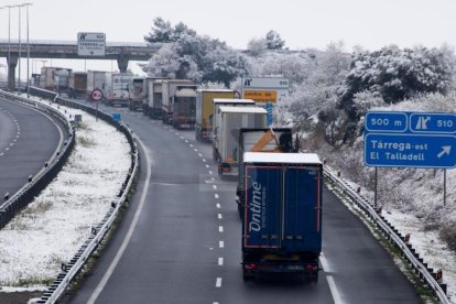 La neu s'ha deixat veure en cotes baixes del pla de Lleida, tot i que només ha agafat a l'Urgell i la Segarra.