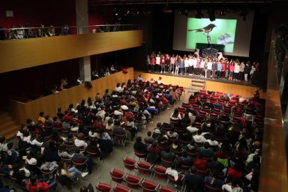 Centenares de alumnos de las comarcas leridanas se añadieron a la celebración del Día Escolar de la No violencia y la Paz, que tiene lugar cada 30 de enero coincidiendo con el aniversario de la muerte del líder pacifista Mahatma Gandhi.