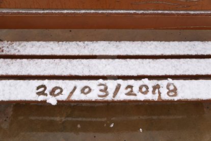 La neu s'ha deixat veure en cotes baixes del pla de Lleida, tot i que només ha agafat a l'Urgell i la Segarra.
