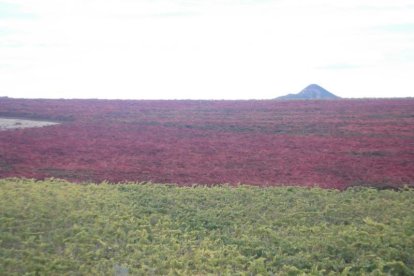 Les fulles cauen, arriba la boira i comença a fer fred.