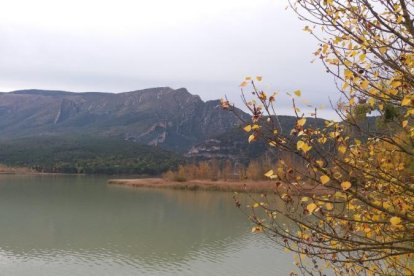 Les fulles cauen, arriba la boira i comença a fer fred.