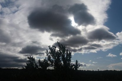 Les fulles cauen, arriba la boira i comença a fer fred.