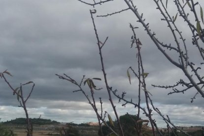 Les fulles cauen, arriba la boira i comença a fer fred.