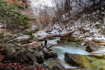 Les fulles cauen, arriba la boira i comença a fer fred.