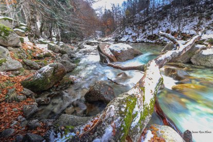 Les fulles cauen, arriba la boira i comença a fer fred.