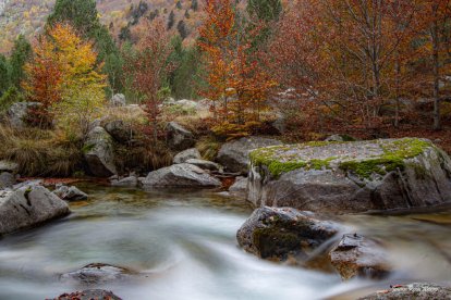 Les fulles cauen, arriba la boira i comença a fer fred.