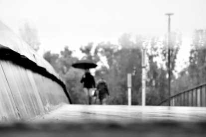 Les fulles cauen, arriba la boira i comença a fer fred.