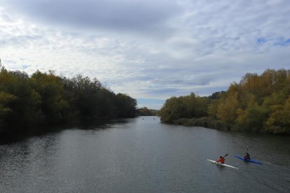 Les fulles cauen, arriba la boira i comença a fer fred.