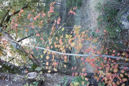 Les fulles cauen, arriba la boira i comença a fer fred.