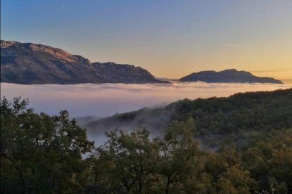 Les fulles cauen, arriba la boira i comença a fer fred.