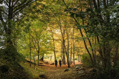 Les fulles cauen, arriba la boira i comença a fer fred.