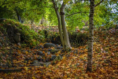 Les fulles cauen, arriba la boira i comença a fer fred.