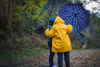 Les fulles cauen, arriba la boira i comença a fer fred.
