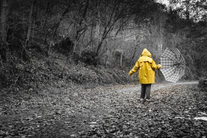 Les fulles cauen, arriba la boira i comença a fer fred.