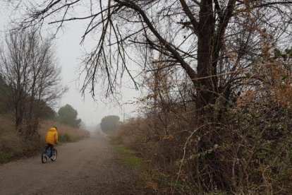 El fred, la boira i la neu... l'hivern ja és aquí!