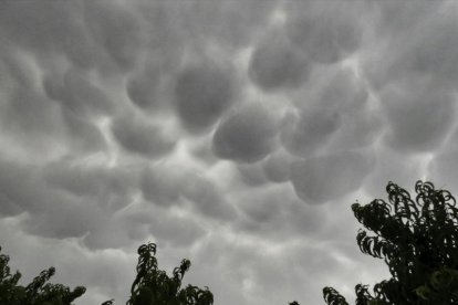 El teu temps, l'estiu 2018