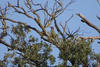 El teu temps, l'estiu 2018