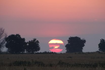 El teu temps, l'estiu 2018