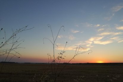 El teu temps, l'estiu 2018