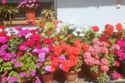 El teu temps, l'estiu 2018