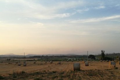 El teu temps, l'estiu 2018