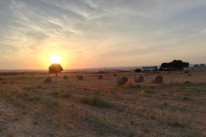 El teu temps, l'estiu 2018