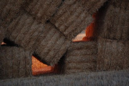 Francesc Corpas Gaudó