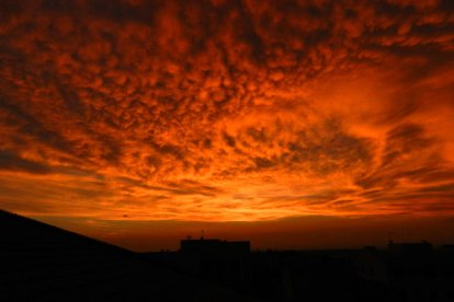 El teu temps, l'estiu 2018