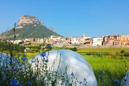 Xènia Somalo Panadés